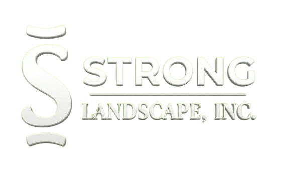 Strong Landscape