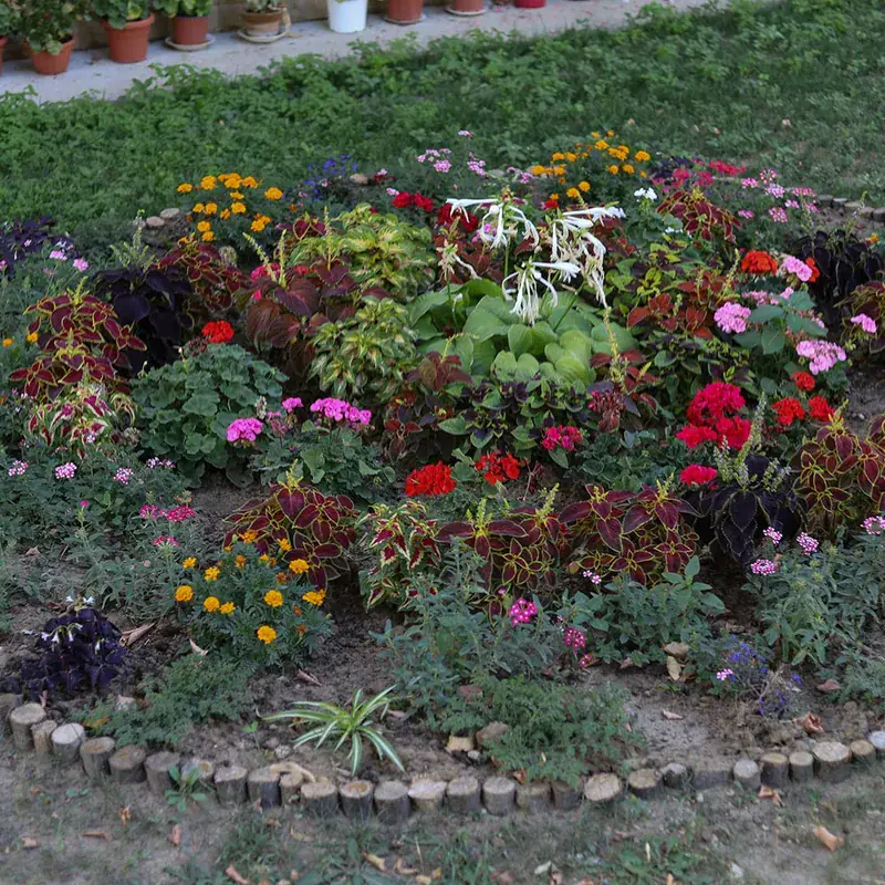 A Holladay water-wise yard — Holladay, UT · Localscape conversion
