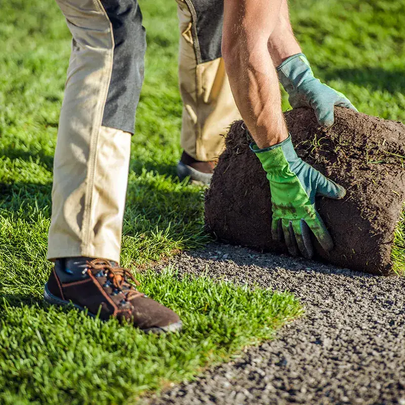 Sod & Turf Installation — Strong Landscape