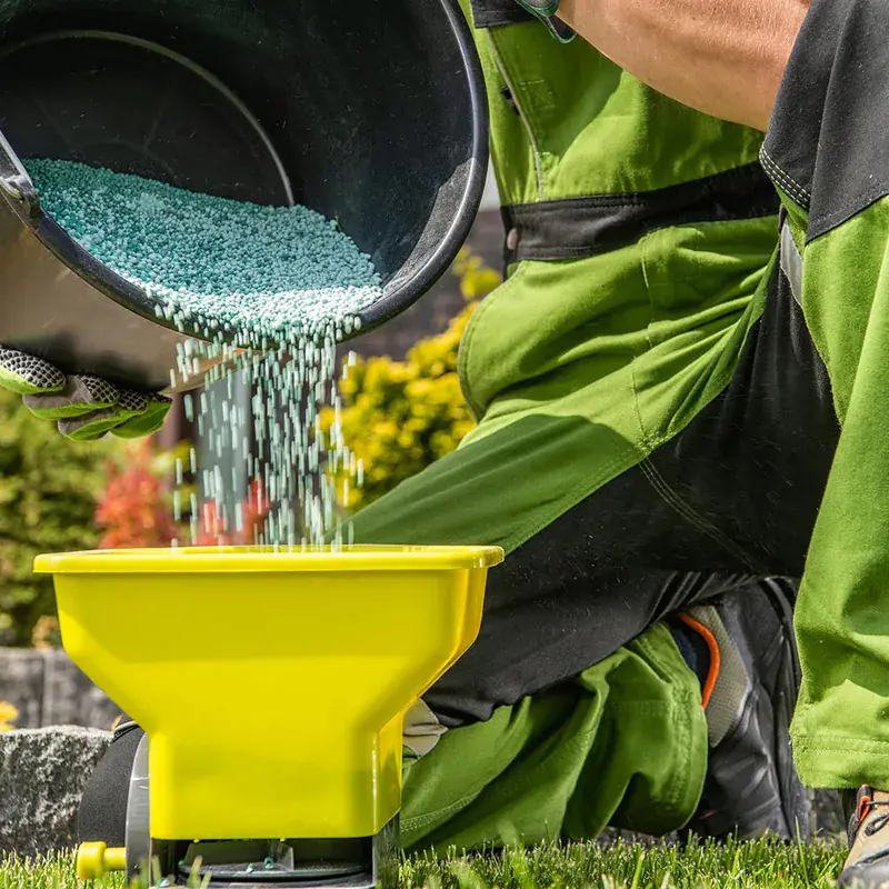 Fertilization Programs — Strong Landscape