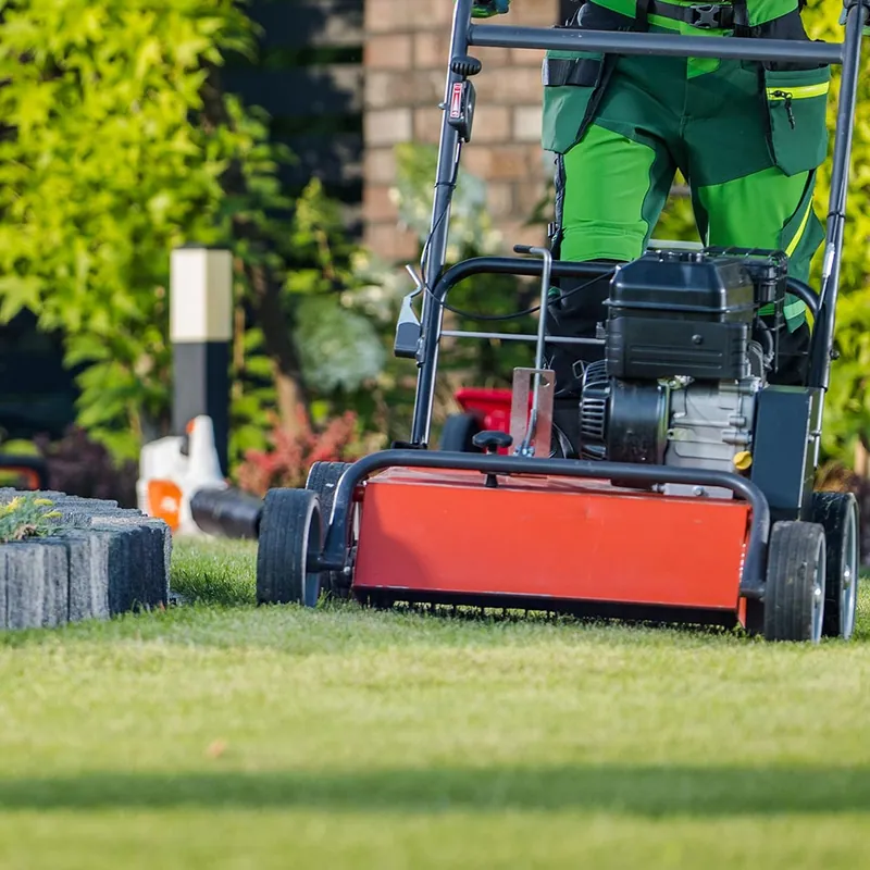 South Jordan lawn renovation — South Jordan, UT · sod + sprinkler system