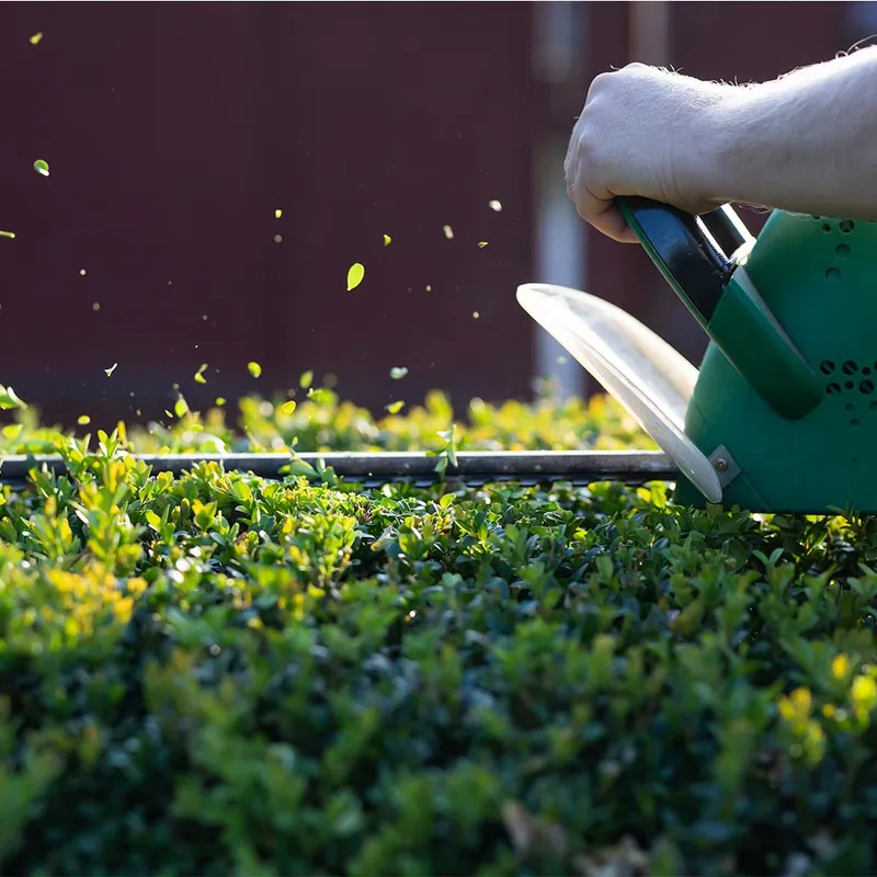 Hedge & Shrub Trimming — Strong Landscape