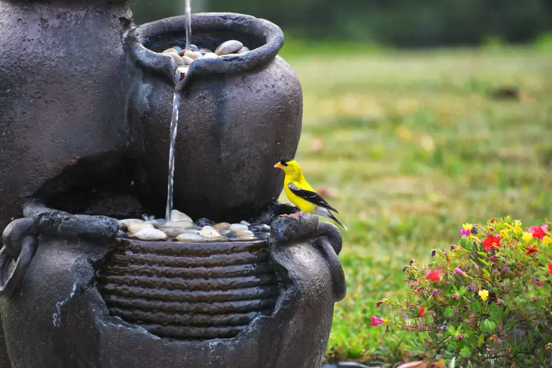 Catch Basins & Dry Creek Beds — Strong Landscape