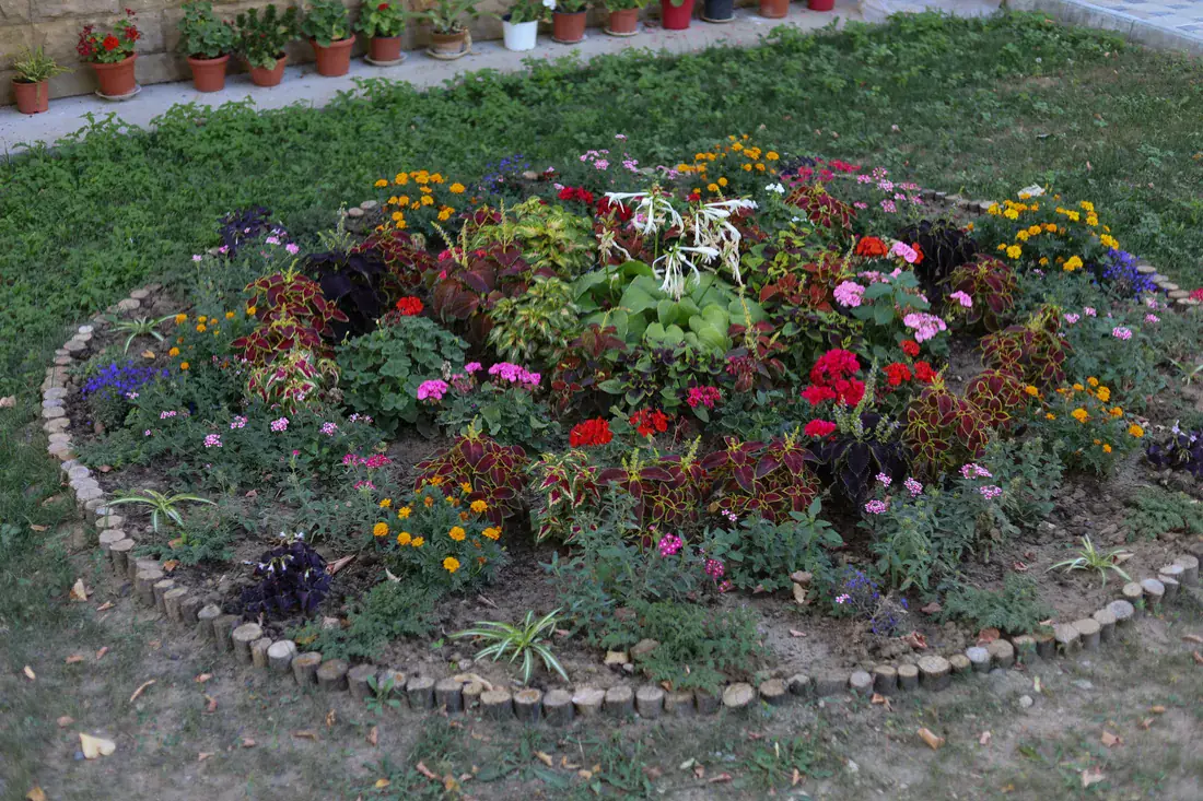 Water-Wise Landscapes